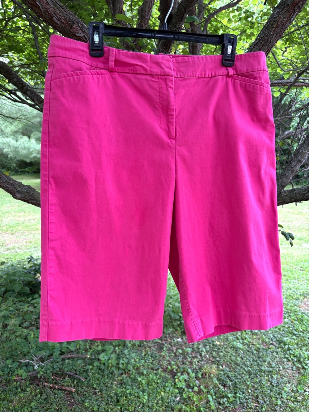 Talbots Classic Shorts with pockets